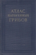 Атлас патогенных грибов Антикварное издание Сохранность: Хорошая Издательство: Государственное издательство сельскохозяйственной литературы, 1953 г Твердый переплет, 160 стр Тираж: 10000 инфо 1388m.