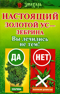 Настоящий золотой ус - зебрина Вы лечились не тем! Серия: Здоровье - это счастье! инфо 1646m.